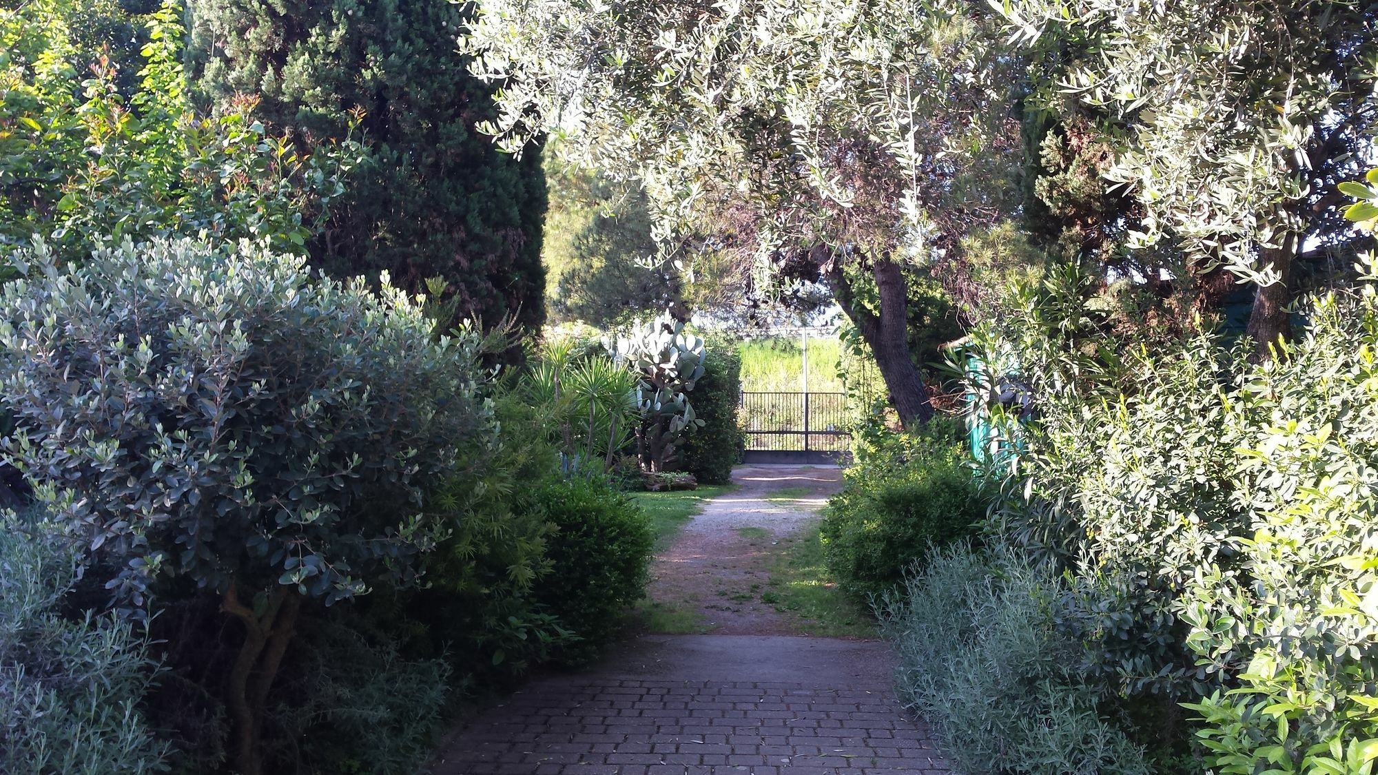 Il Giardino Di Armida Bed and Breakfast Salerno Esterno foto